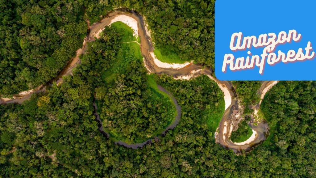 amazon rainforest from above winding river
