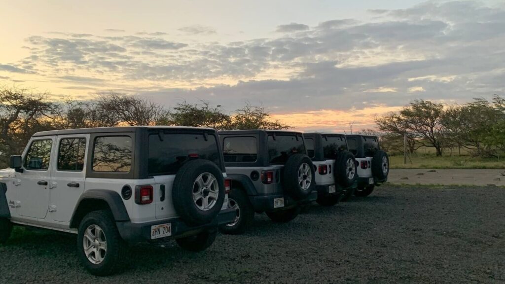 The Best of the Big Island My 7Day Hawaiian Itinerary