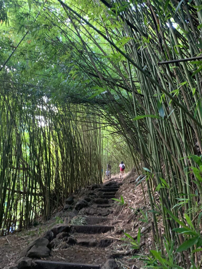 The Pipiwai Trail located in Haleakalā National Park past Hana