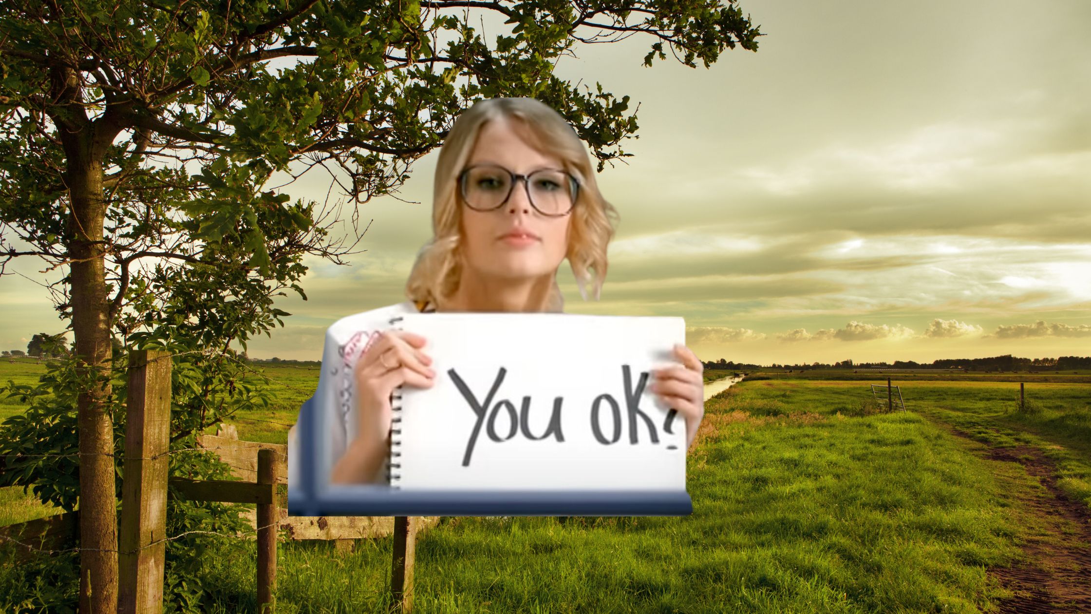 Taylor Swift holding a sign that says "You ok?" in a field.